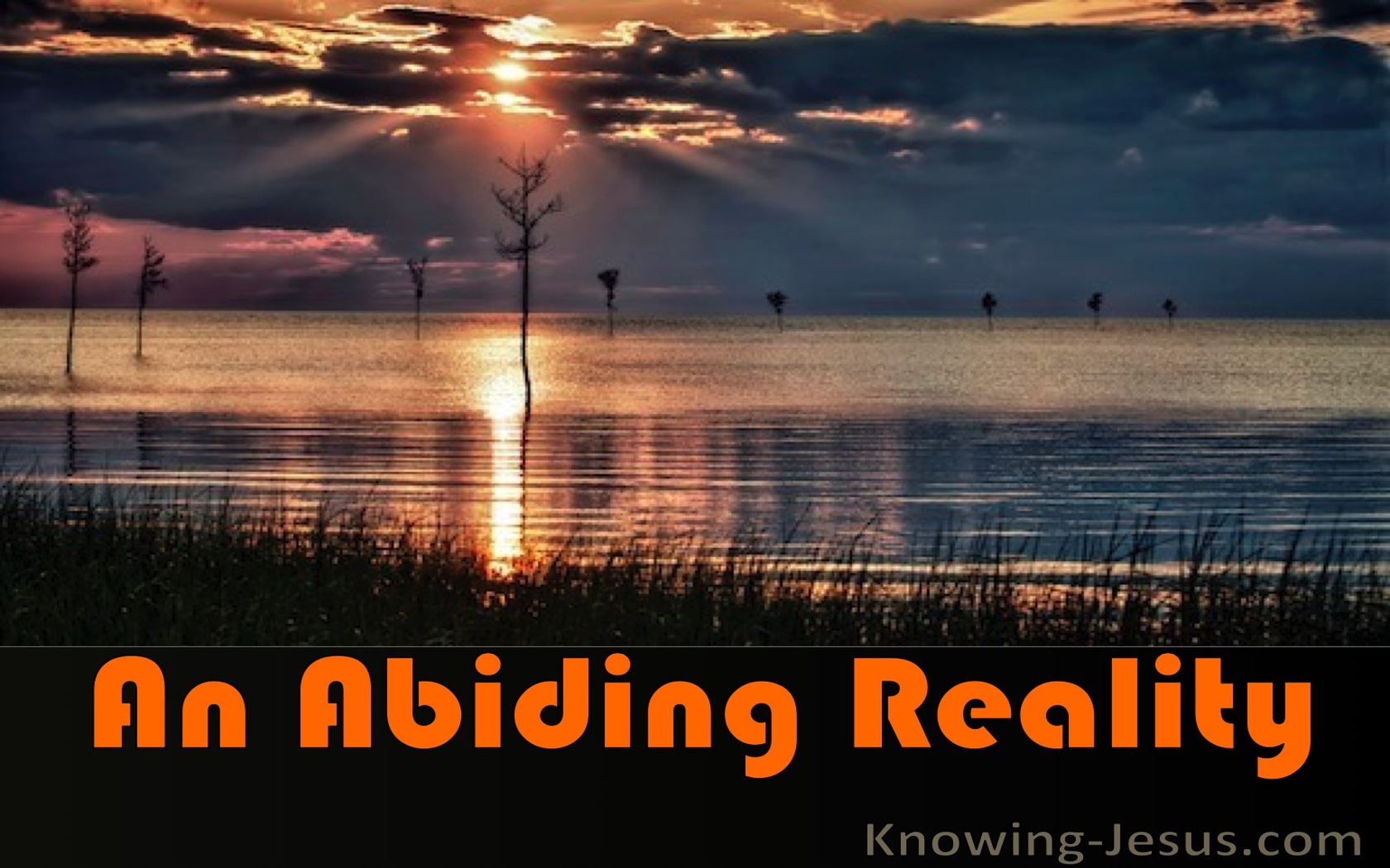 An Abiding Reality (devotional) (orange)